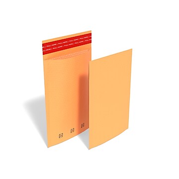 TRU RED™ 6.75" x 9" Self-Seal Bubble Mailer, #0, Brown, 25/Carton (TR56645B)