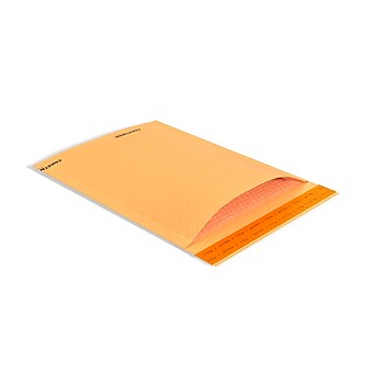 Coastwide Professional™ 9.25" x 11" Self-Sealing Bubble Mailer, #2, Kraft, 100/Carton (CW56581B)