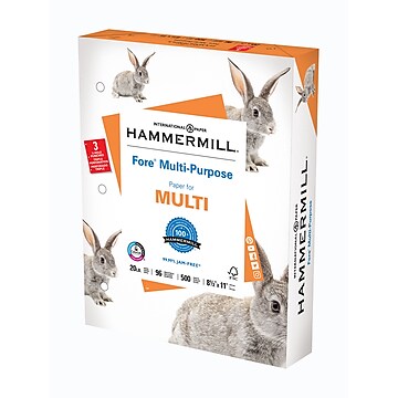 Hammermill Fore 3-Hole Punched 8.5" x 11" Multipurpose Paper, 20 lbs., 96 Brightness, 500/Ream (103275)