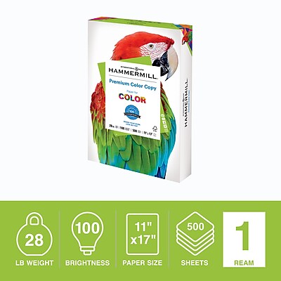 staples color copies