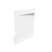 TRU RED™ Hanging Folder Tab Insert, 3.5", White, 100/Pack (TR117788)