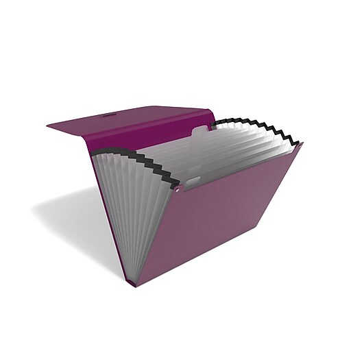 TRU RED™ Reinforced Plastic Accordion File, 13Pocket, Letter Size, Purple (TR52015) at Staples