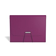 TRU RED™ Reinforced Plastic Accordion File, 13-Pocket, Letter Size, Purple (TR52015)