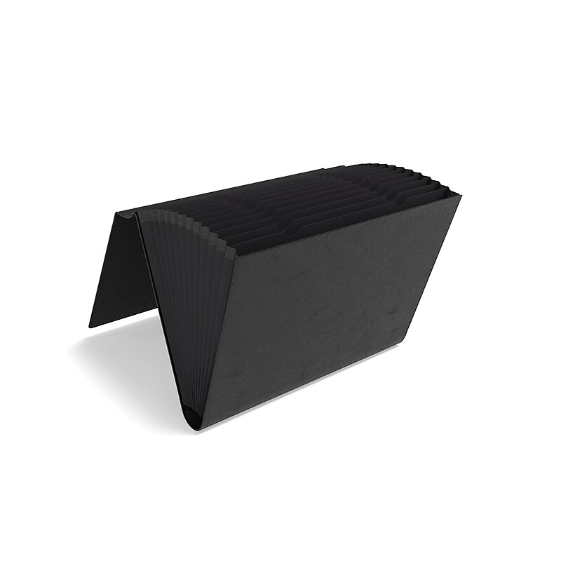 TRU RED™ Moisture Resistant Reinforced Faux Leather Accordion File, 13-Pocket, Letter Size, Black (TR51793) image 1