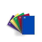 TRU RED™ Memo Books, 4" x 6", College Ruled, Assorted Colors, 50 Sheets/Pad, 5 Pads/Pack (TR11495)