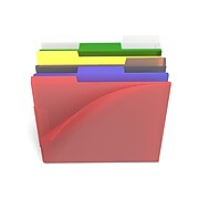 TRU RED™ File Folders, 1/3 Cut, Letter Size, Assorted Colors, 6/Pack (TR10847)