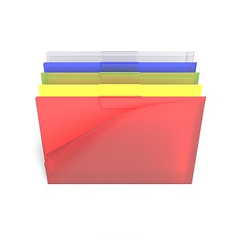 TRU RED™ Heavy Duty Plastic File Jackets, 1-Pocket, Letter Size, Assorted Colors, 5/Pack (TR36053)