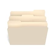 TRU RED™ File Folder, 1/3 Cut Tab, Letter Size, Manila, 250/Box (TR56673)