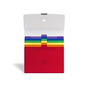 TRU RED™ Plastic Accordion File, 6-Pocket, Letter Size, Multicolor (TR51848)