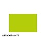 Astrobrights 11" x 17", Colored Paper, 24 lbs., Terra Green, 500 Sheets/Ream (22583)~#|#~s1191358_sc7