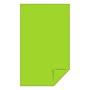 Astrobrights Colored Paper, 24 lbs., 8.5" x 14", Terra Green, 500 Sheets/Ream (22582)~#|#~s1191367_sc7