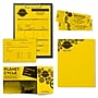 Astrobrights Colored Paper, 24 lbs., 11" x 17", Solar Yellow, 500 Sheets/Ream (22533)~#|#~s1191406_sc7
