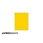 Astrobrights Colored Paper, 24 lbs., 8.5" x 11", Sunburst Yellow, 500 Sheets/Ream (WAU22591)~#|#~s1191429_sc7