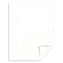 Astrobrights 8.5" x 11" Multipurpose Paper, 24 lbs., 87 Brightness, 500 Sheets/Ream (22301)~#|#~s1191486_sc7