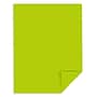 Astrobrights Colored Paper, 24 lbs., 8.5" x 11", Terra Green, 500 Sheets/Ream (22581/21588)~#|#~s1191513_sc7