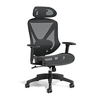  Union & Scale FlexFit Dexley Adjustable Height Ergonomic Mesh Swivel Task Chair (Black) 