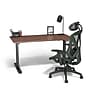 Union & Scale™ Essentials 55"W Electric Rectangular Adjustable Standing Desk, Espresso (UN56207)~#|#~s1201518_sc7