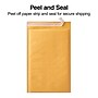 7.88" x 10.75" Self-Sealing Bubble Mailer, #1, 25/Carton (ST56646B)~#|#~s1210346_sc7