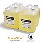 Coastwide Professional Antibacterial Liquid Hand Soap Refill, 1 Gal., 4/Carton (CW153RU01-ACT)~#|#~s1211395_sc7