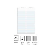 TRU RED™ Steno Pad, 6" x 9", Gregg Ruled, White, 80 Sheets/Pad, Dozen Pads/Pack (TR58190)