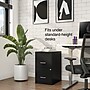 Staples 2-Drawer Vertical File Cabinet, Letter Size, Lockable, 24.1"H x 14.3"W x 18"D, Black (ST52149-CC)~#|#~s1212915_sc7