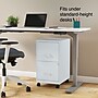 Staples 2-Drawer Mobile Vertical File Cabinet, Letter Size, Lockable, 26.3"H x 14.3"W x 18.9"D, Gray (ST60053-CC)~#|#~s1212971_sc7