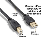 NXT Technologies™ 16' USB A Male/B Male, Black (NX29931)