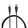 NXT Technologies™ 7' USB A Male/B Male, Black (NX29929)~#|#~s1217890_sc7