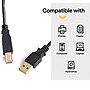 NXT Technologies™ 7' USB A Male/B Male, Black (NX29929)~#|#~s1217891_sc7