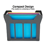 Staples File Caddy with File Folders, Letter Size, Black (10613)