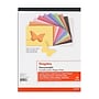 Staples Heavyweight Construction Paper Pad, 9" x 12", Assorted, 40/Sheets (23107-US)~#|#~s1222244_sc7