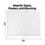 Staples Poster Board, 22" x 28" White, 10/Pack (28126)~#|#~s1222548_sc7