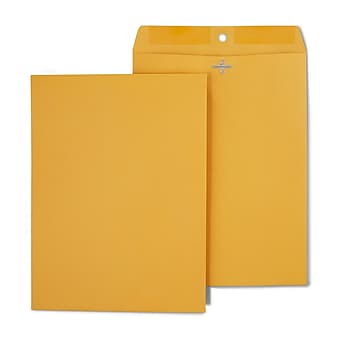 Staples Clasp Close Catalog Envelopes, 9"L x 12"H, Brown, 250/Box (487493/17242)