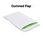 Staples Economy Gummed Catalog Envelopes, 6" x 9", White, 250/Box (50303T)~#|#~s1224478_sc7