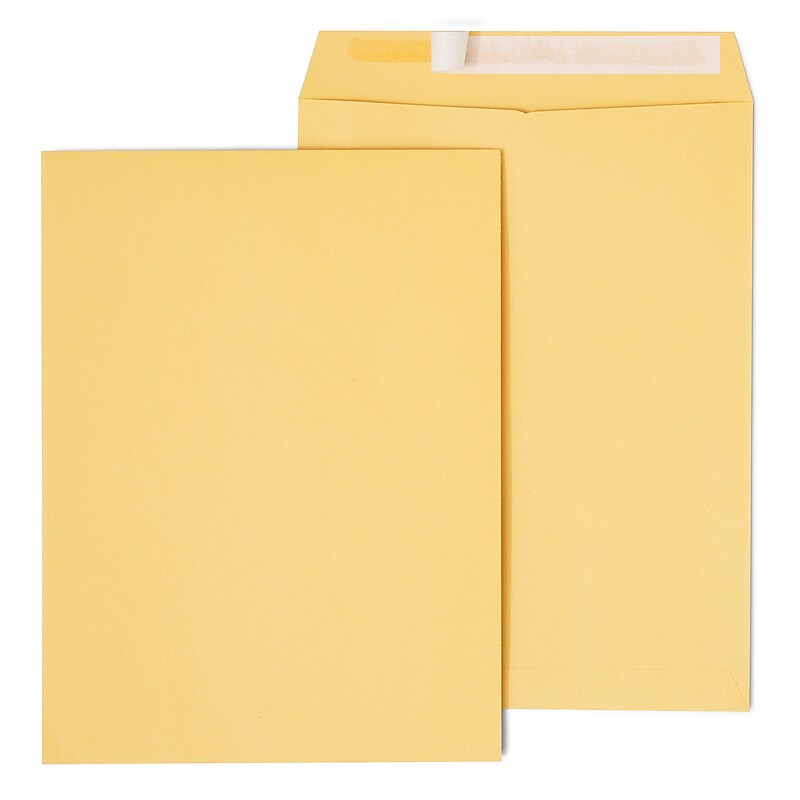 Staples EasyClose Self Seal #10 1/2 Kraft Catalog Envelope, 9" x 12", Brown, 250/Box (ST479888-CC) image 1