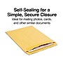 Staples Self Seal #13 1/2 Kraft Catalog Envelope, 10" x 13", Brown, 250/Box (ST486933-CC)~#|#~s1224504_sc7