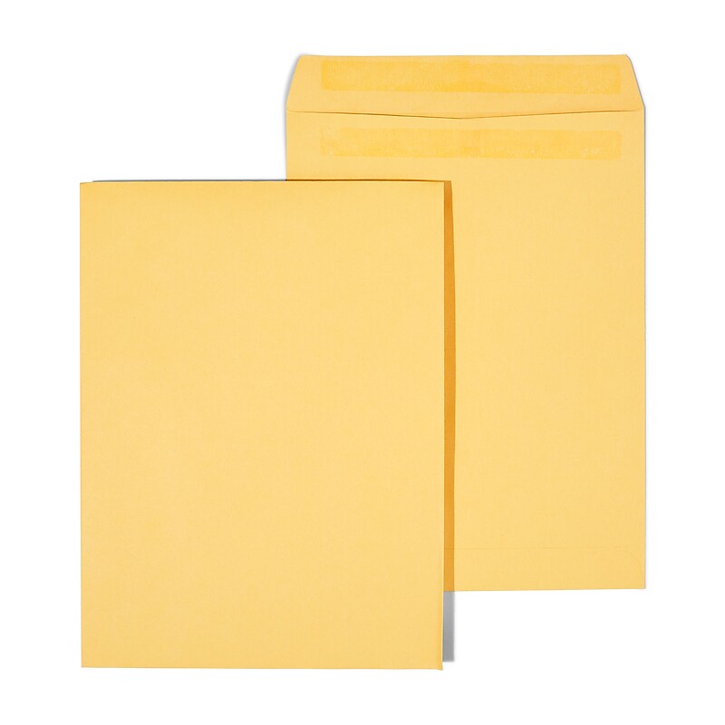 Staples Self Seal Kraft Catalog Envelopes, 9"L x 12"H, Brown, 250/Box (486931/14245) image 1