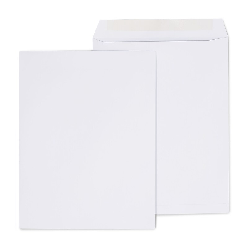 Gummed Catalog Envelopes, 10"L x 13"H, White, 250/Box (486954/17040) image 1