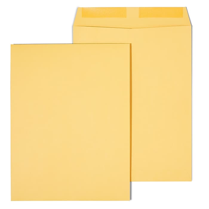 Staples Gummed Kraft Catalog Envelopes, 9.5