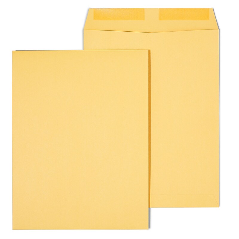 Staples Gummed Kraft Catalog Envelopes, 9.5"L x 12.5"H, Brown, 100/Box (SPL534743) image 1
