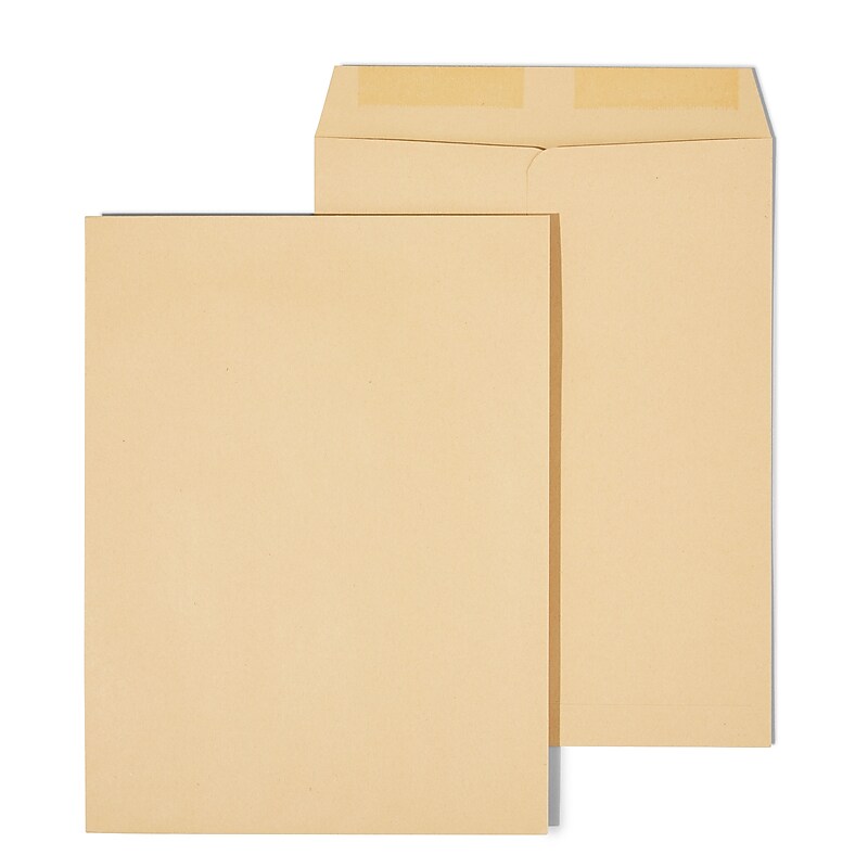Staples Gummed Kraft Catalog Envelopes, 9"L x 12"H, Brown, 100/Box (SPL194969) image 1