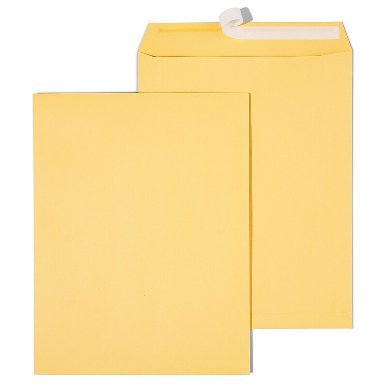 Staples EasyClose Kraft Catalog Envelopes, 10"L x 13"H, Brown, 250/Box (479889/14238) image 1