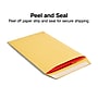 Staples QuickStrip EasyClose Kraft Self Seal #1 Catalog Envelopes, 6" x 9", Kraft, 100/Box (ST20140/20140)~#|#~s1224581_sc7