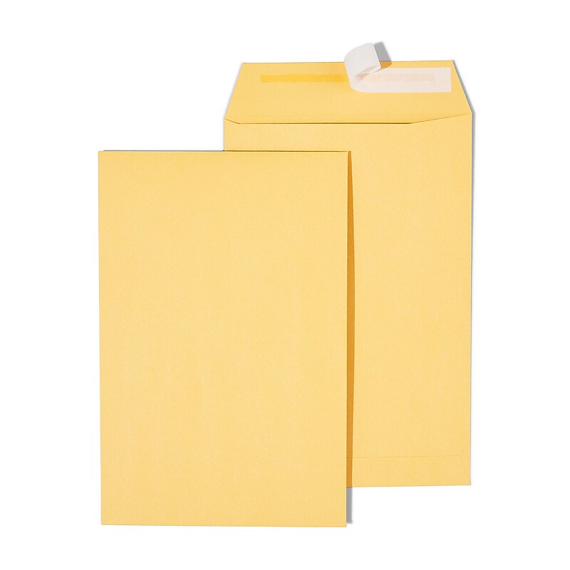 Staples QuickStrip EasyClose Kraft Self Seal #1 Catalog Envelopes, 6" x 9", Kraft, 100/Box (ST20140/20140) image 1
