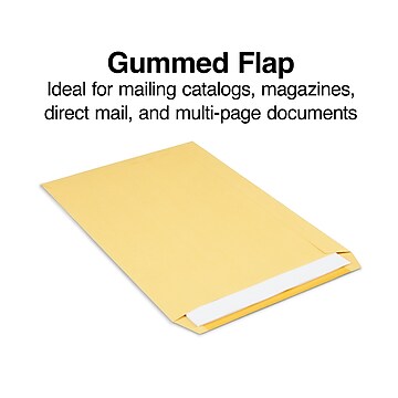 Staples Gummed Catalog Envelopes, 10"L x 15"H, Brown, 100/Box (SPL534768)