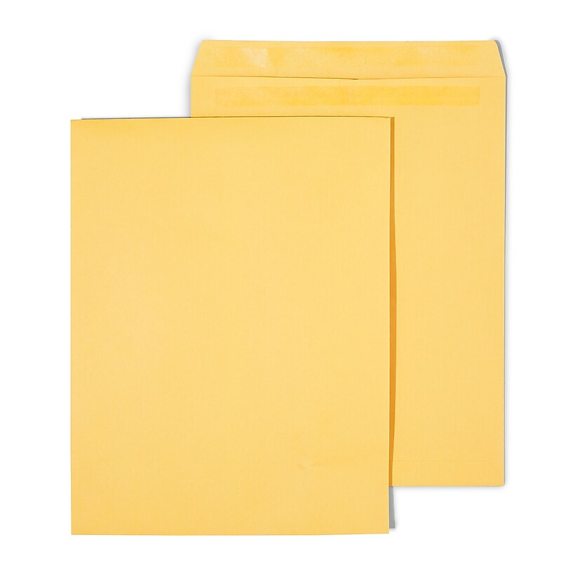 Staples Self Seal Kraft Catalog Envelopes, 12" x 15.5", Brown, 100/Box (534826/17102) image 1