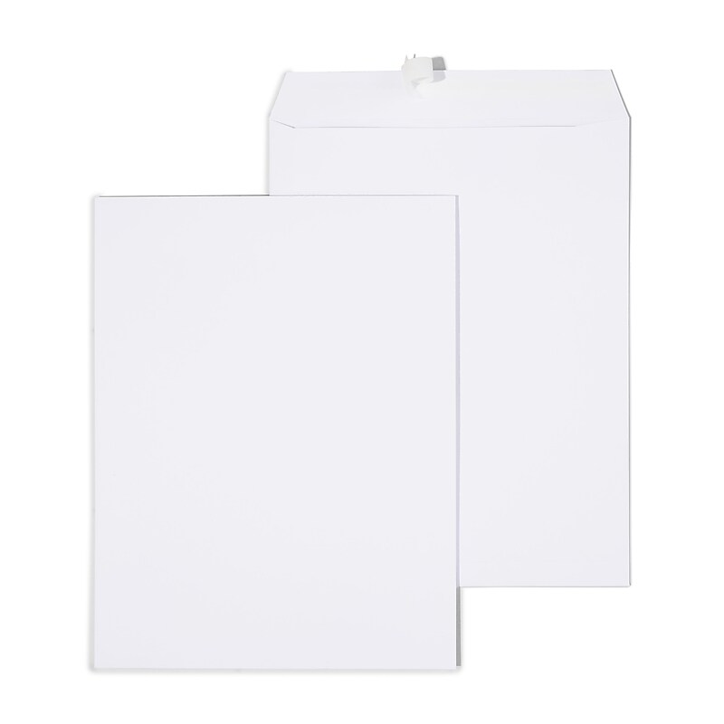 Staples Gummed Catalog Envelopes, 10"L x 13"H, White, 100/Box (295840N) image 1