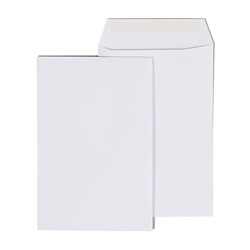 Gummed Catalog Envelopes, 10