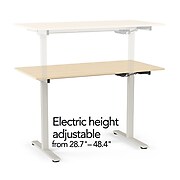 Union & Scale™ Essentials 29"-48"H Adjustable Standing Desk, Natural (UN60415-CC)