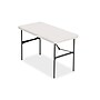 Staples 4' x 24" Heavy Duty Plastic Folding Table, Light Gray (79203/54406)~#|#~sp100190974_sc7